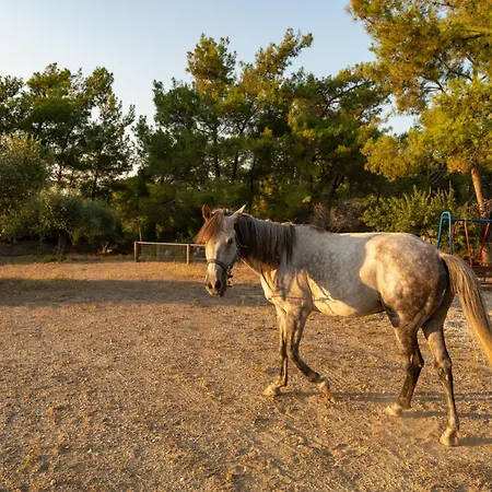 Casa vacanze Agrotopia