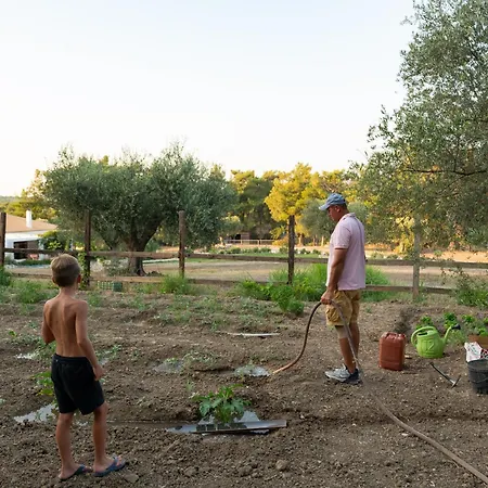 Agrotopia * Theológos