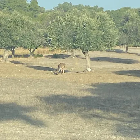 Agrotopia Casa vacanze Theológos