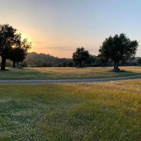 Casa vacanze Agrotopia