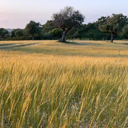 Agrotopia