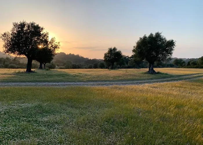 Ferienhaus Agrotopia