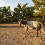 بيت للعطل Agrotopia