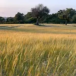 Agrotopia