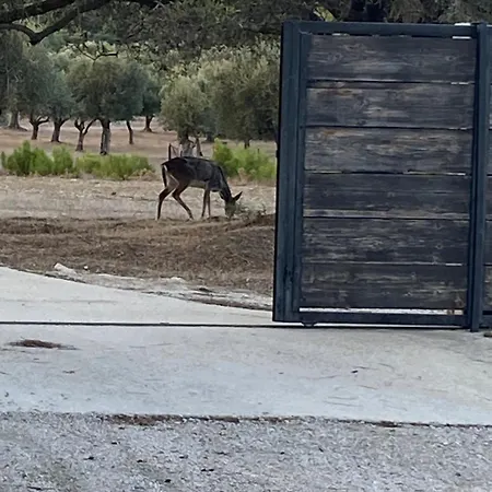 Agrotopia Vakantiehuis