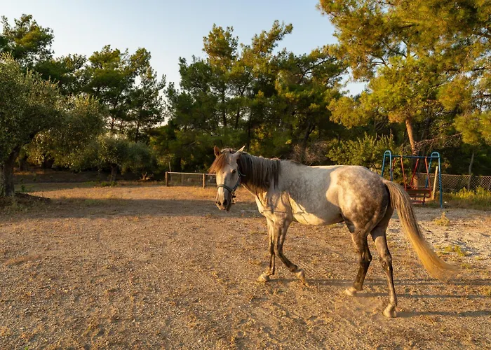 Vakantiehuis Agrotopia