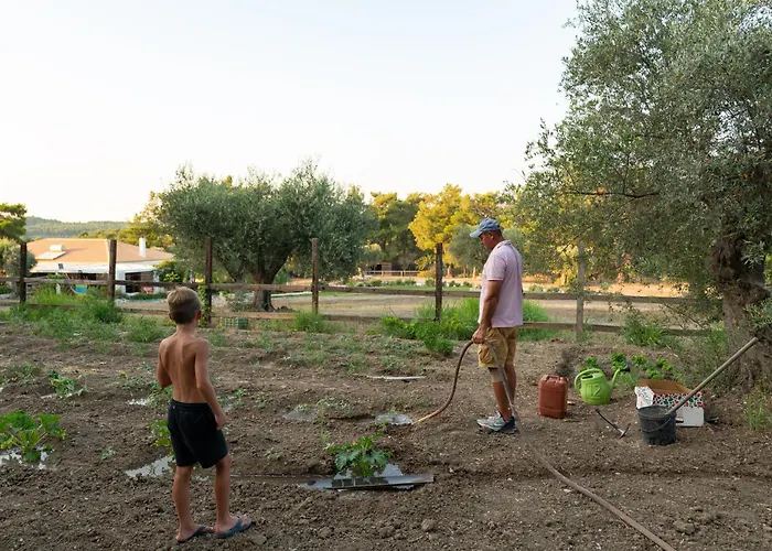 Agrotopia * Theológos