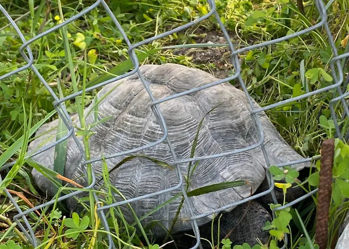 Agrotopia بيت للعطل *