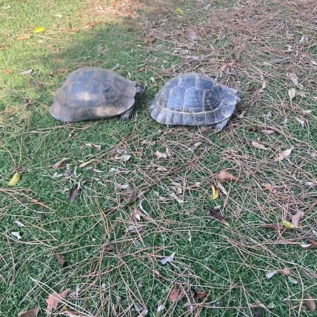 Prázdninový dům Agrotopia *