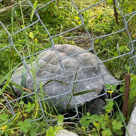 Agrotopia Semesterbostad *