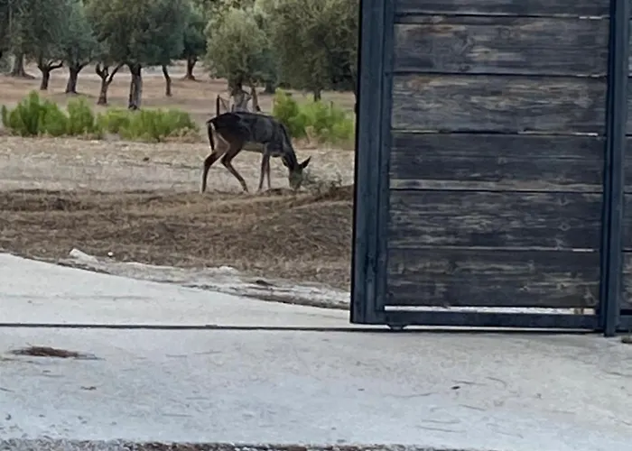 Agrotopia Holiday home