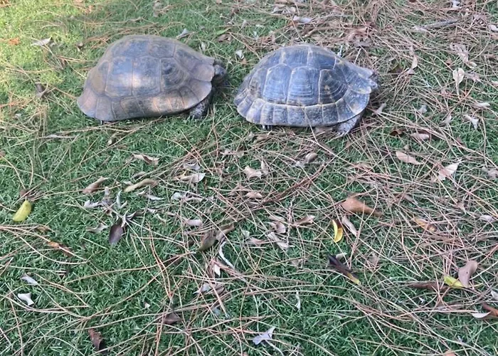 Holiday home Agrotopia *