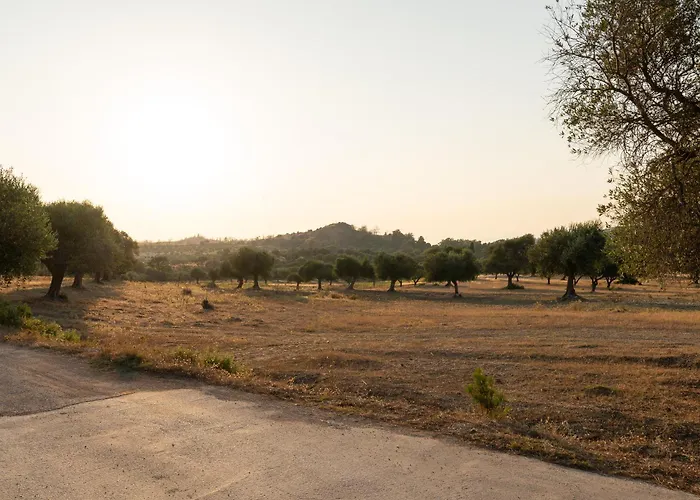 Agrotopia Holiday home *