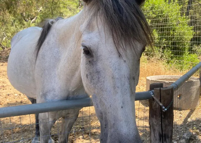 Agrotopia * Theologos (Rhodes)